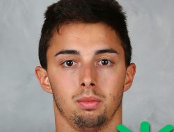 Matthew Gaudreau GoFundMe Raises $375k in Two Days Since Tragic Death