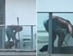 Disturbing Video Appears To Show Man Abusing Dog, Brandishing Knife