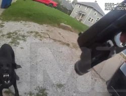 Iowa Dog Shooting Cop Body Cam Video Released, Dad Wants Officer in Jail