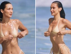Bella Hadid Wears Teeny Bikini During Malibu Beach Day
