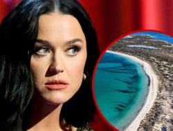 Katy Perry Music Vid Under Investigation For Possible Environmental Damage