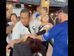 Chicago White Sox, Cubs Fans Brawl During Game In Wild Video!