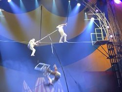 Circus Performer Falls From Tightrope on Video, Hospitalized With Serious Injuries