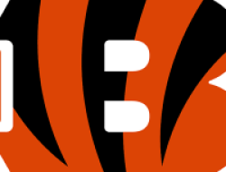 Cincinnati Bengals Unveil New Orange Pants Following Madden Leak – SportsLogos.Net News