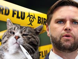 Avian Bird Flu Outbreak Among House Cats