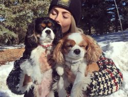 What Happened to Julianne Hough’s Dogs? Everything to Know