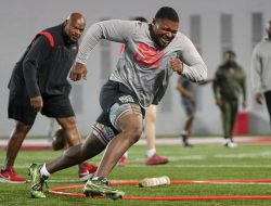 Browns DT Michael Hall Jr. pleads no contest to disorderly conduct