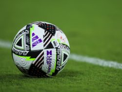 Los Angeles FC sign veteran Brazilian D Marlon