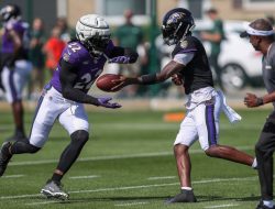 AFC North: 2024 Outlook, Preview, Predictions