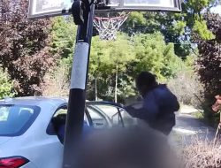 Couple Having Sex In Random Stranger’s Driveway In Michigan, Ring Video Shows