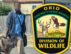 Ohio Wildlife Officials Give Context for Photo of Man Holding 2 Geese
