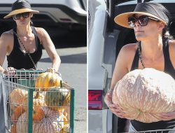 Nikki Bella Focuses on Fall Errands Amid Artem Chigvintsev Arrest Update