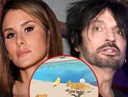 Tommy Lee & Brittany Furlan’s Dog Snatched By Coyote From Their Backyard