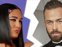 Nikki Bella Files To Divorce Artem Chigvintsev After His Domestic Violence Bust