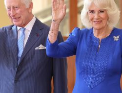 Queen Camilla Shares Update on King Charles III Amid Cancer Treatment