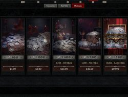 Diablo 4 made over 1 billion dollars so far, and $150 million of that from those exorbitantly priced skins