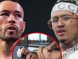 UFC Fighter Colby Covington Chokes Out Lil Pump on Live Stream