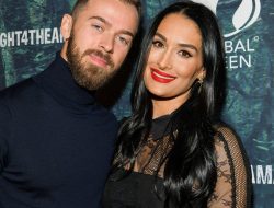 Artem Chigvintsev Makes Subtle Nod to Wife Nikki Garcia After Domestic