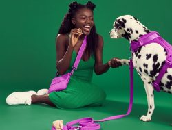 Wild One Sale: Save Up to 25% on Dog Leashes, Harnesses and More Pet Essentials This Labor Day Weekend