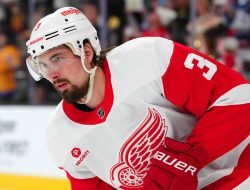 Red Wings waive veteran D Justin Holl
