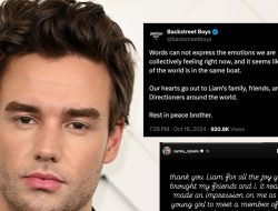 Liam Payne Tributes Continue to Pour in From Halsey, Camila Cabello & More