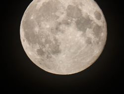 How the Libra New Moon Solar Eclipse Will Affect Your Zodiac Sign