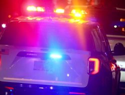 Human Head Found in Box on Chicago Sidewalk