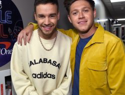 One Direction’s Liam Payne Reunited With Niall Horan Before His Death