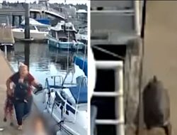 Otter Chases Family After Allegedly Attacking Child, Video Shows