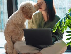 29 Best Pet Deals on Furbo, Purina, Bissell