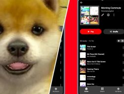 Don’t hand me the aux, Nintendo’s got a new music app and I will use it to blast an hour-long version of the Nintendogs theme