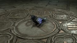 Diablo 4 patch change could make it easier to find Forgotten Altars, or you could pet Dorian the Raven instead