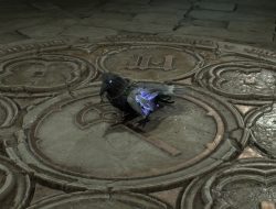 Diablo 4 patch change could make it easier to find Forgotten Altars, or you could pet Dorian the Raven instead